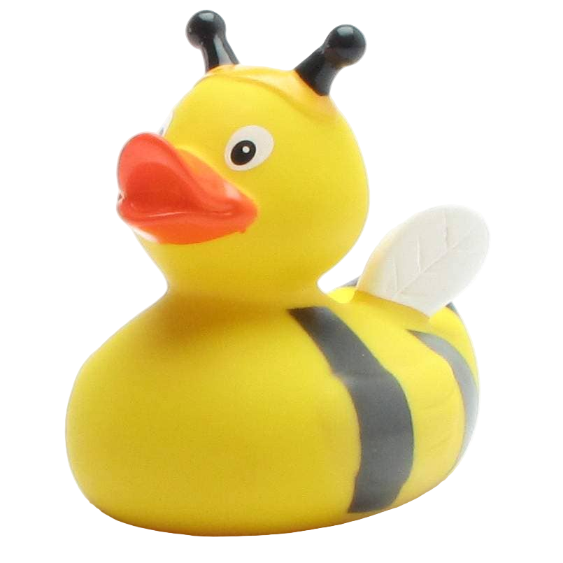 Duck Bee