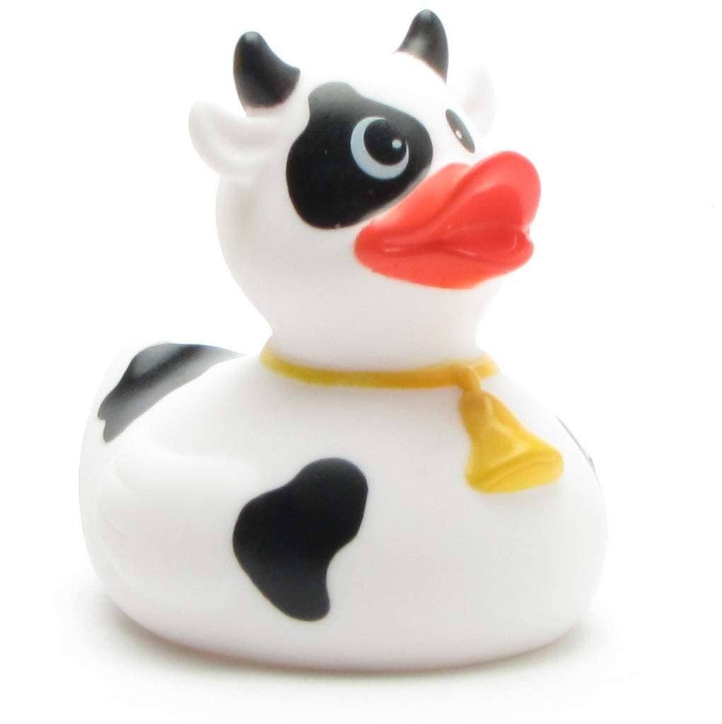 Canard Vache noire et blanche