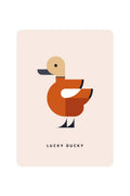 Postcard with Ruddy Shelduck