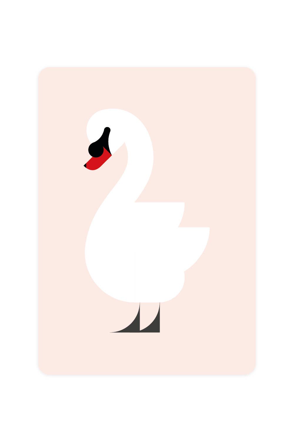 Carte postale avec cygne muet