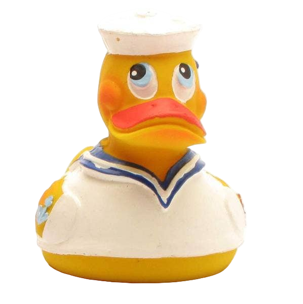 Sea Duck