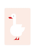 Carte postale avec cygne Coscoroba