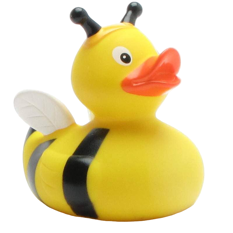 Duck Bee