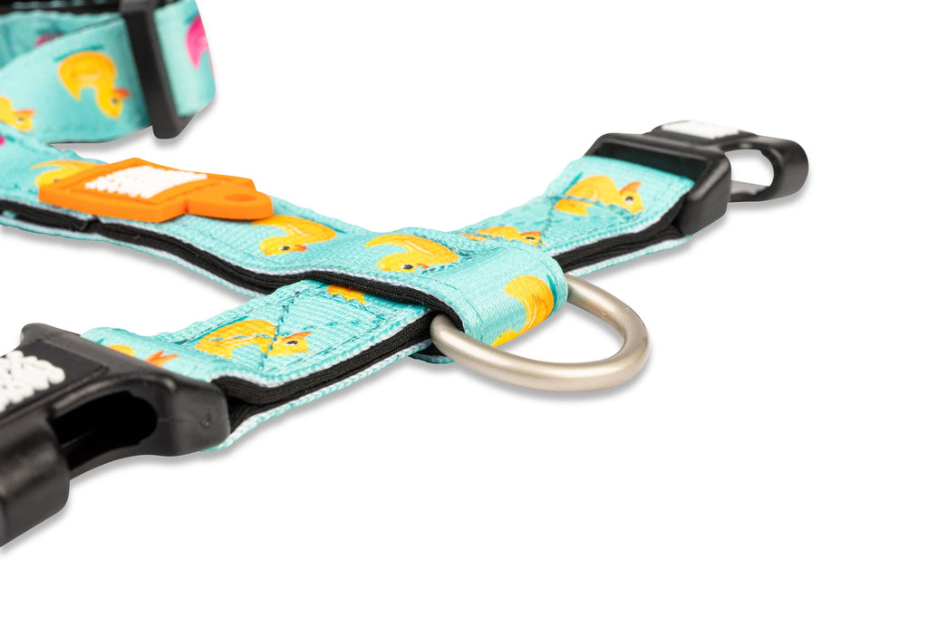 Harnais en H - Canards