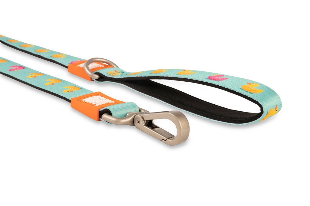 Kurz und bündig – Enten