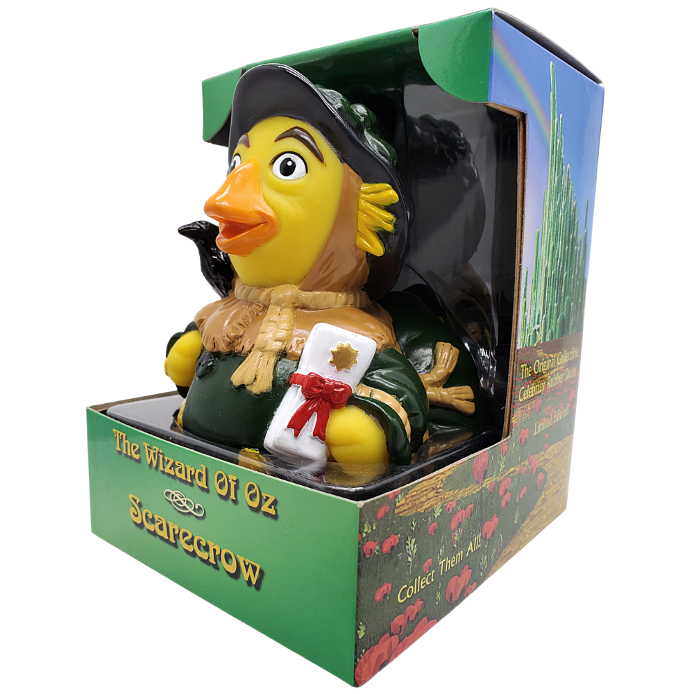 Vogelscheuchenente