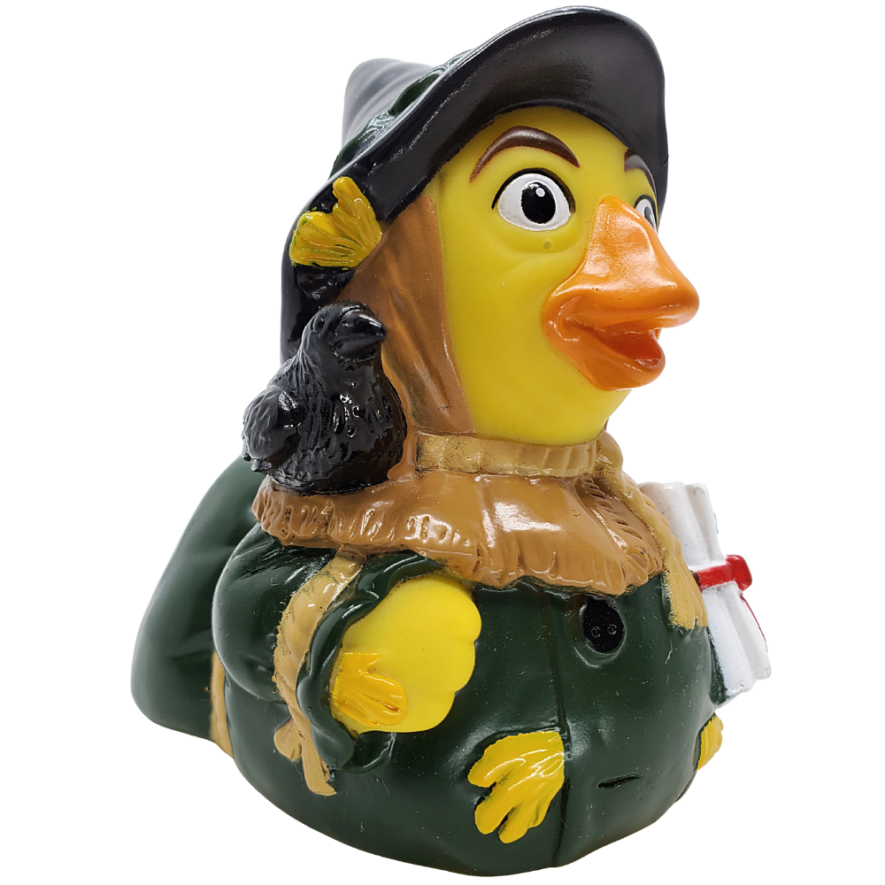 Vogelscheuchenente