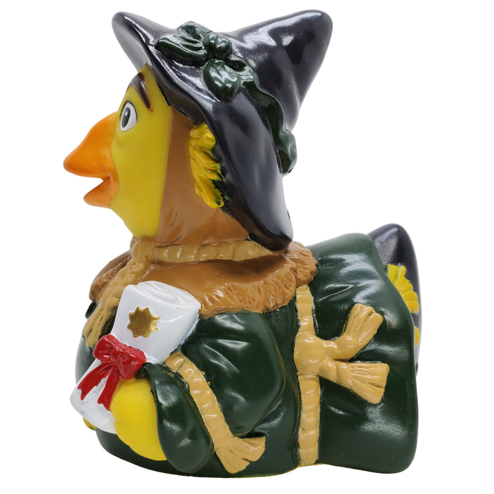 Vogelscheuchenente