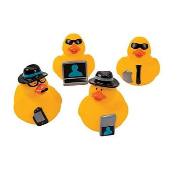 mini-canards-espions-lg-import