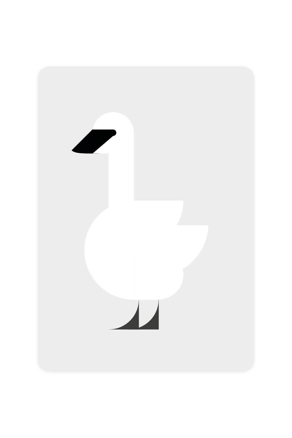 Carte postale Cygne trompette
