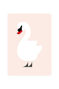 Carte postale avec cygne muet