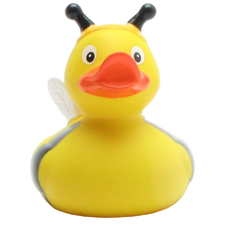 Duck Bee