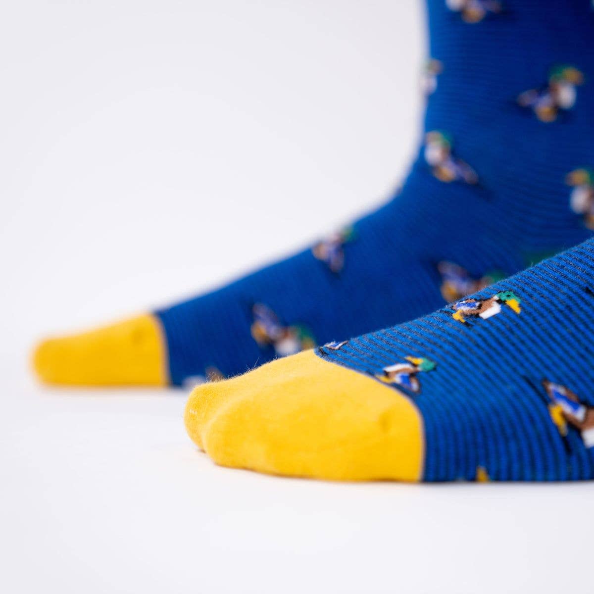 Chaussettes en coton peigné Canard Colvert