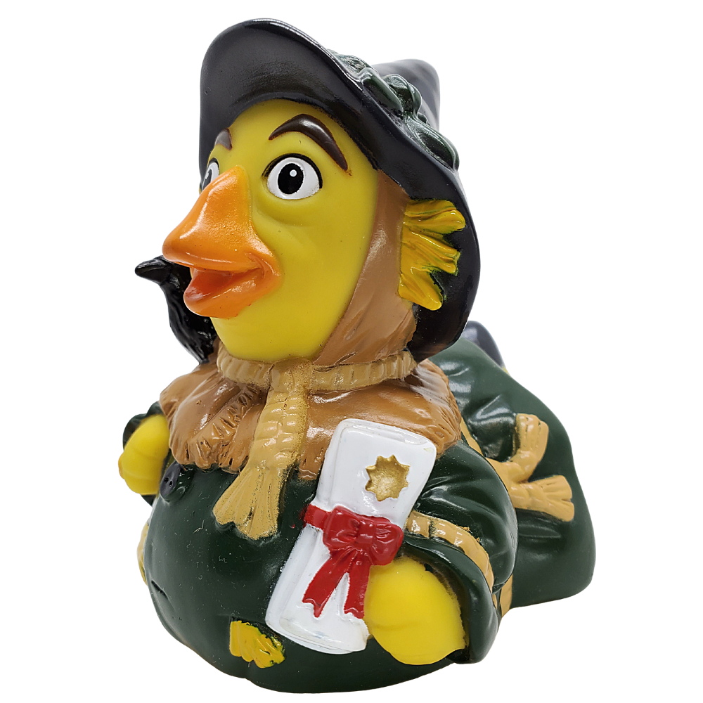 Vogelscheuchenente