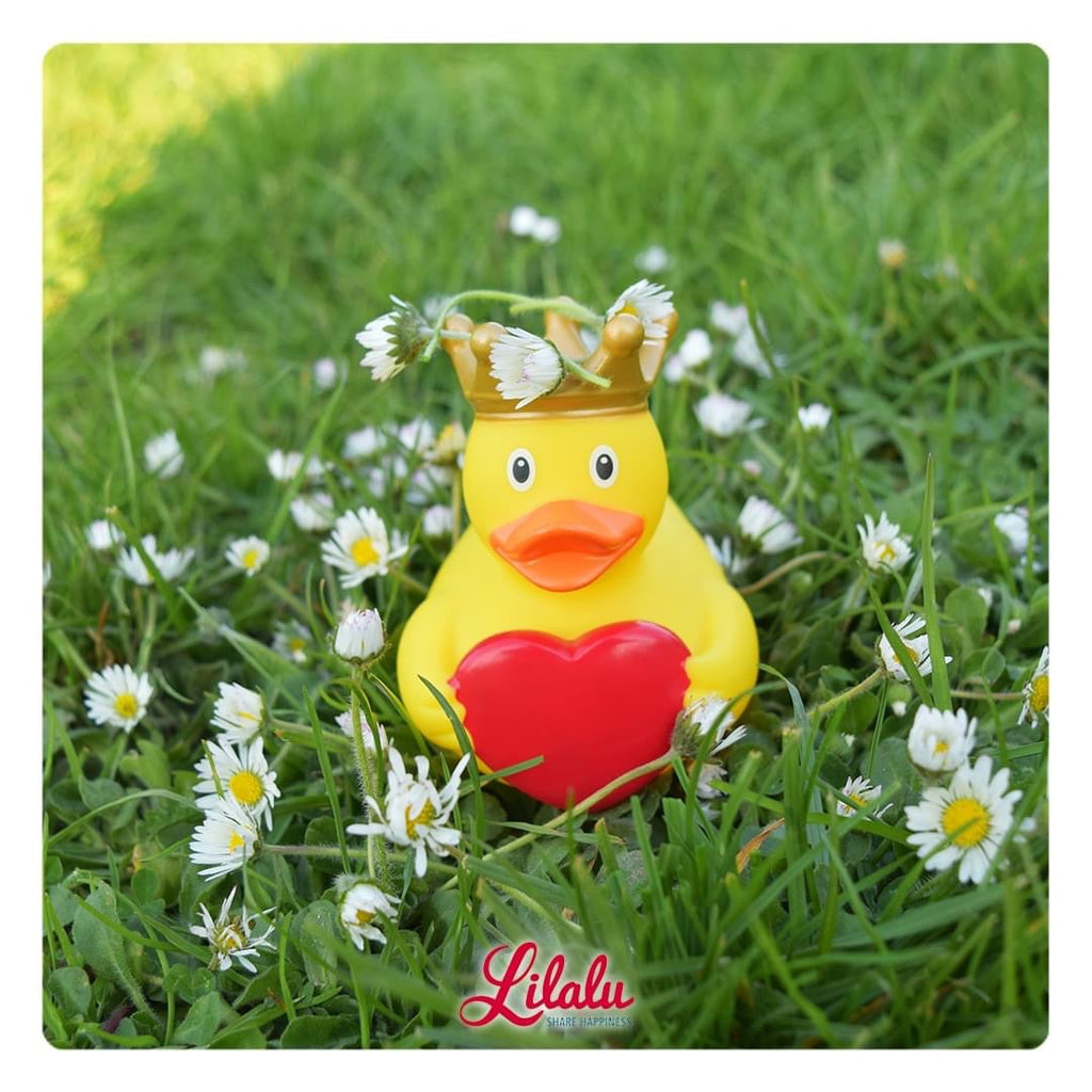 canard-offre-son-coeur-lilalu