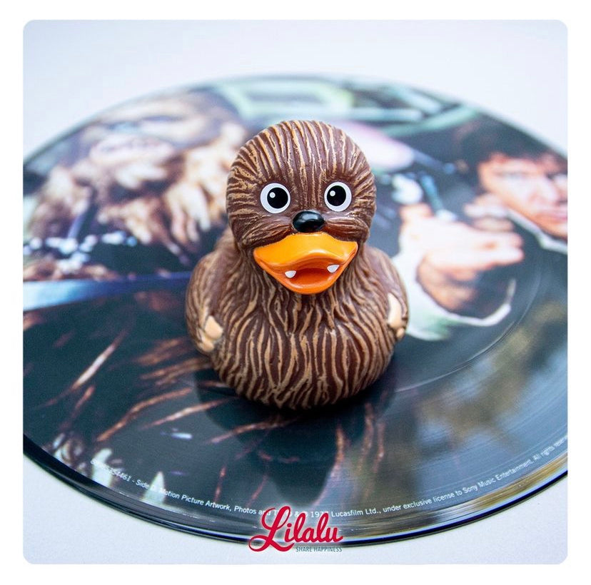 Canard Chewie