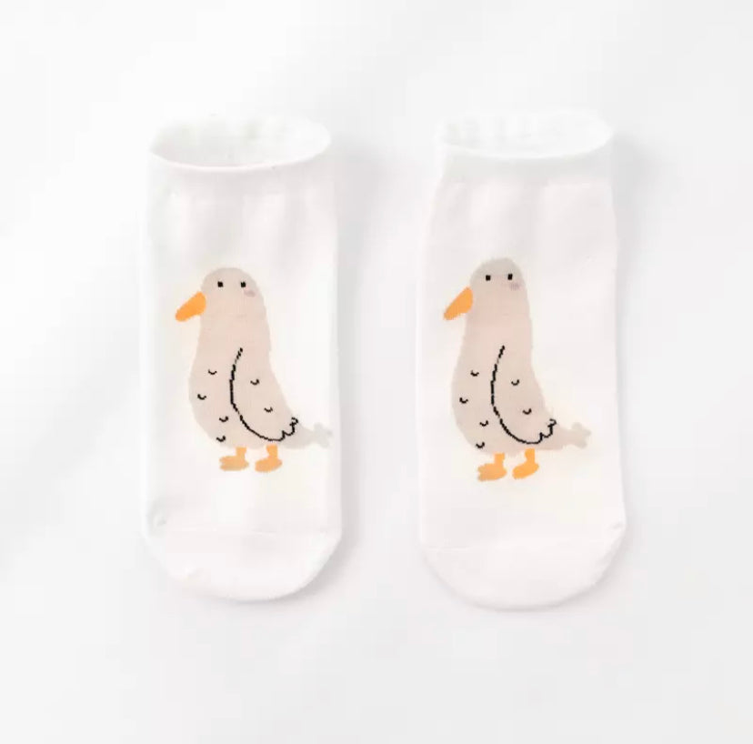 socquettes-canard-gris