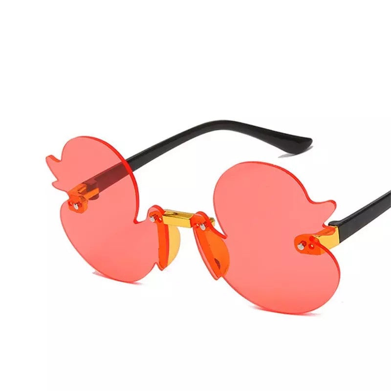 lunettes canard