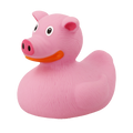 Canard Cochon