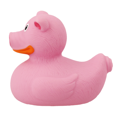 Ente Schwein