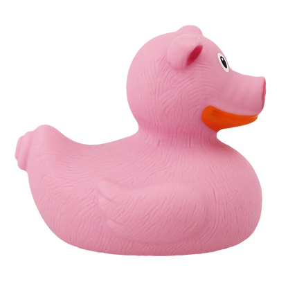 Ente Schwein