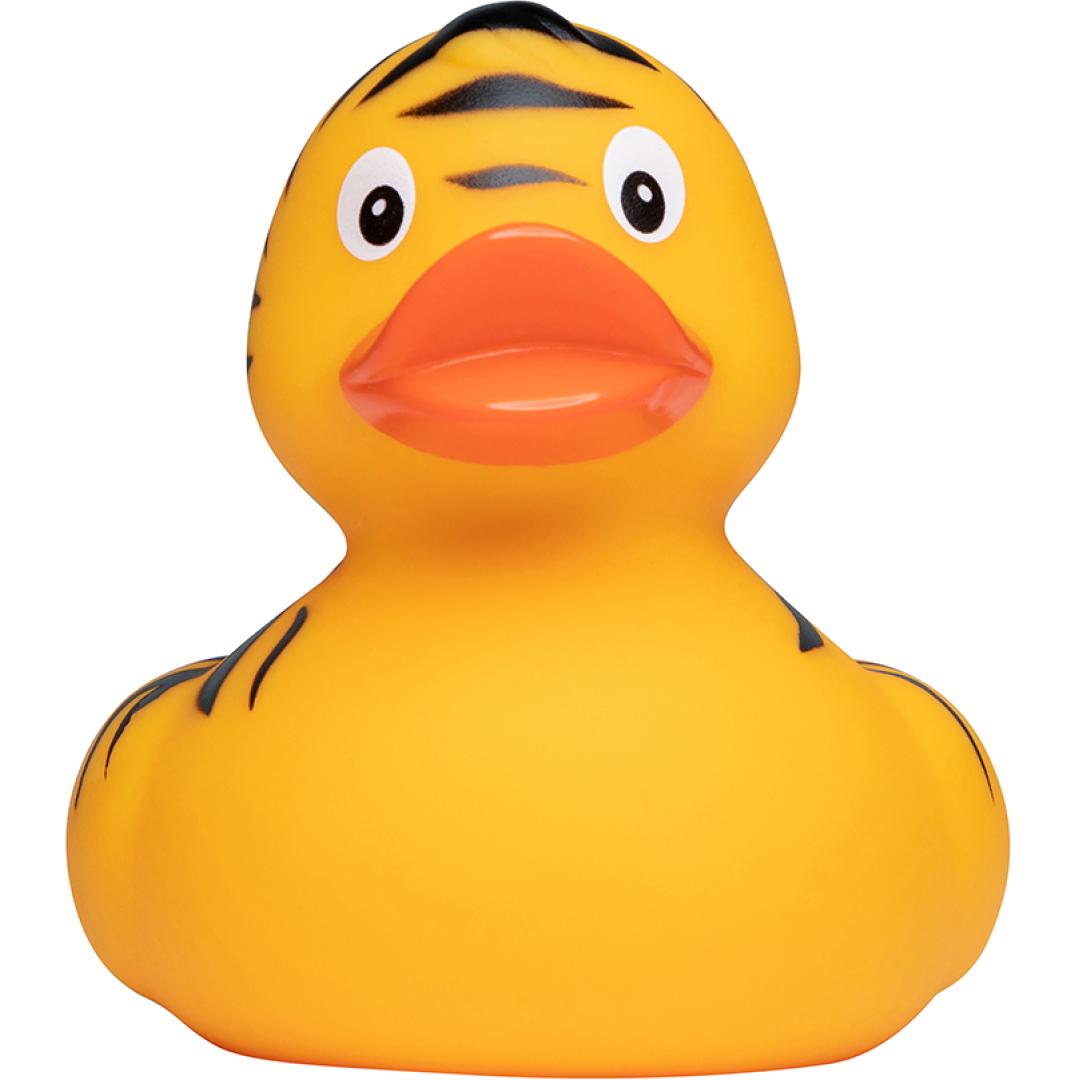 Canard Tigre