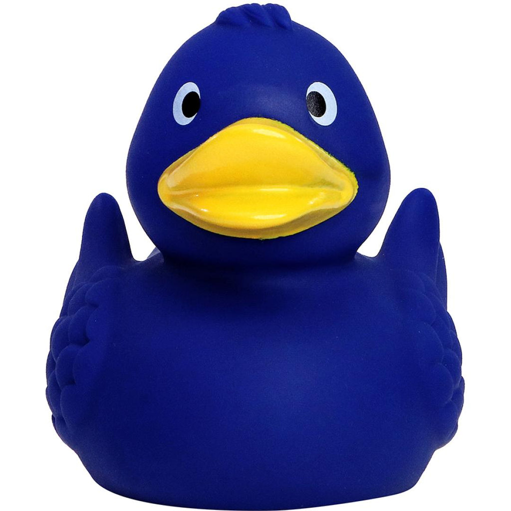 Canard uni avec ailes