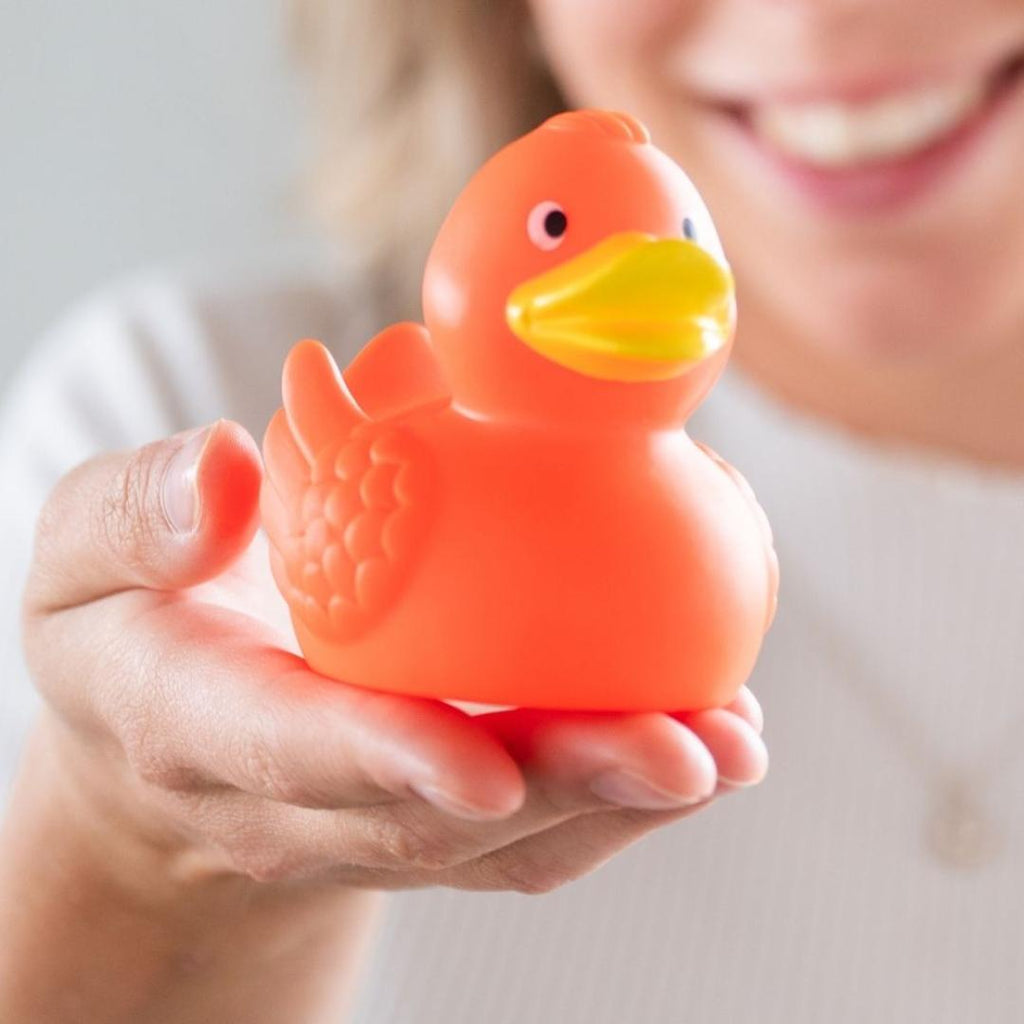 Canard uni avec ailes