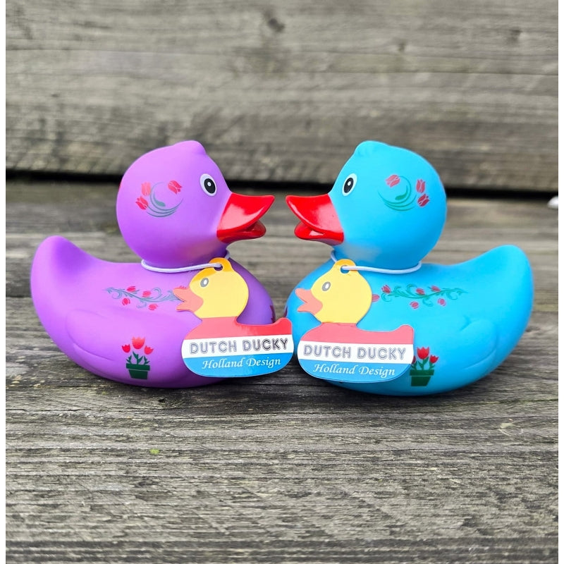 Duck Holland Tulpen - Blau