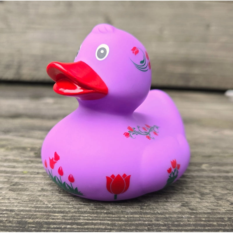 Duck Holland Tulpen - Violett