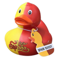Canard Espagne