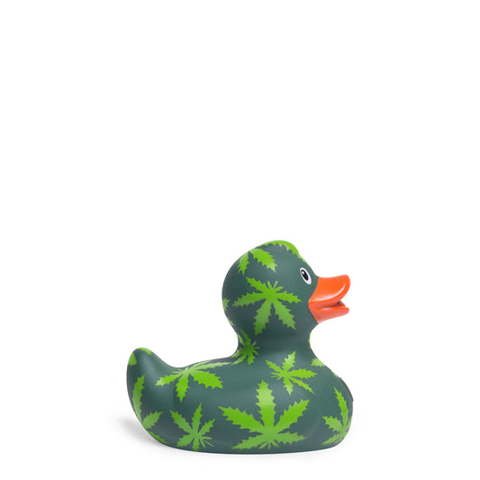 Mini cannabis duck