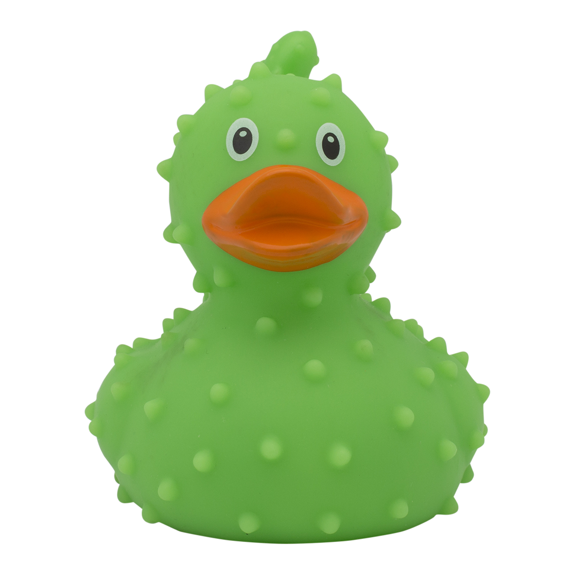 Canard Cactus