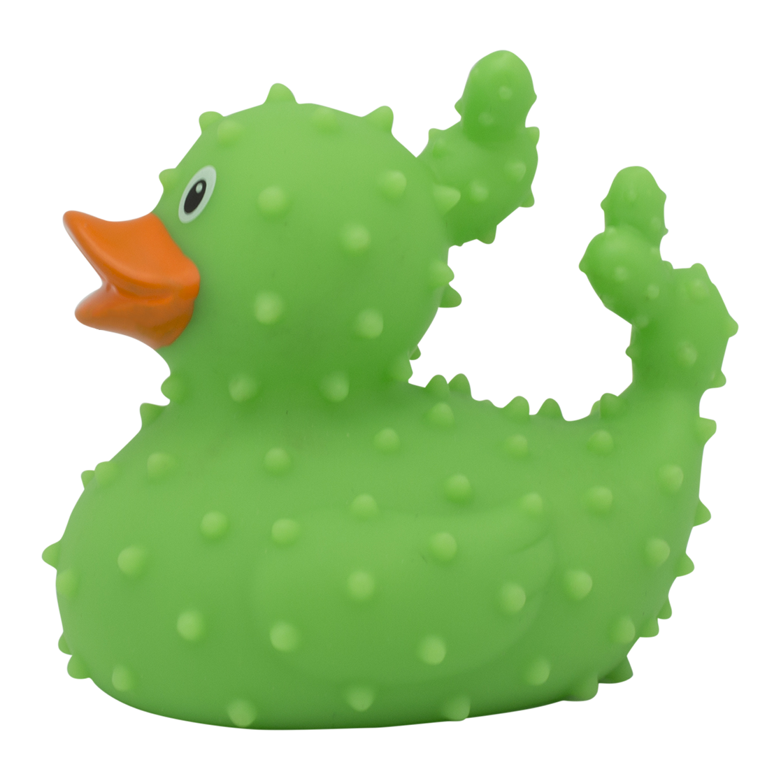 Canard Cactus