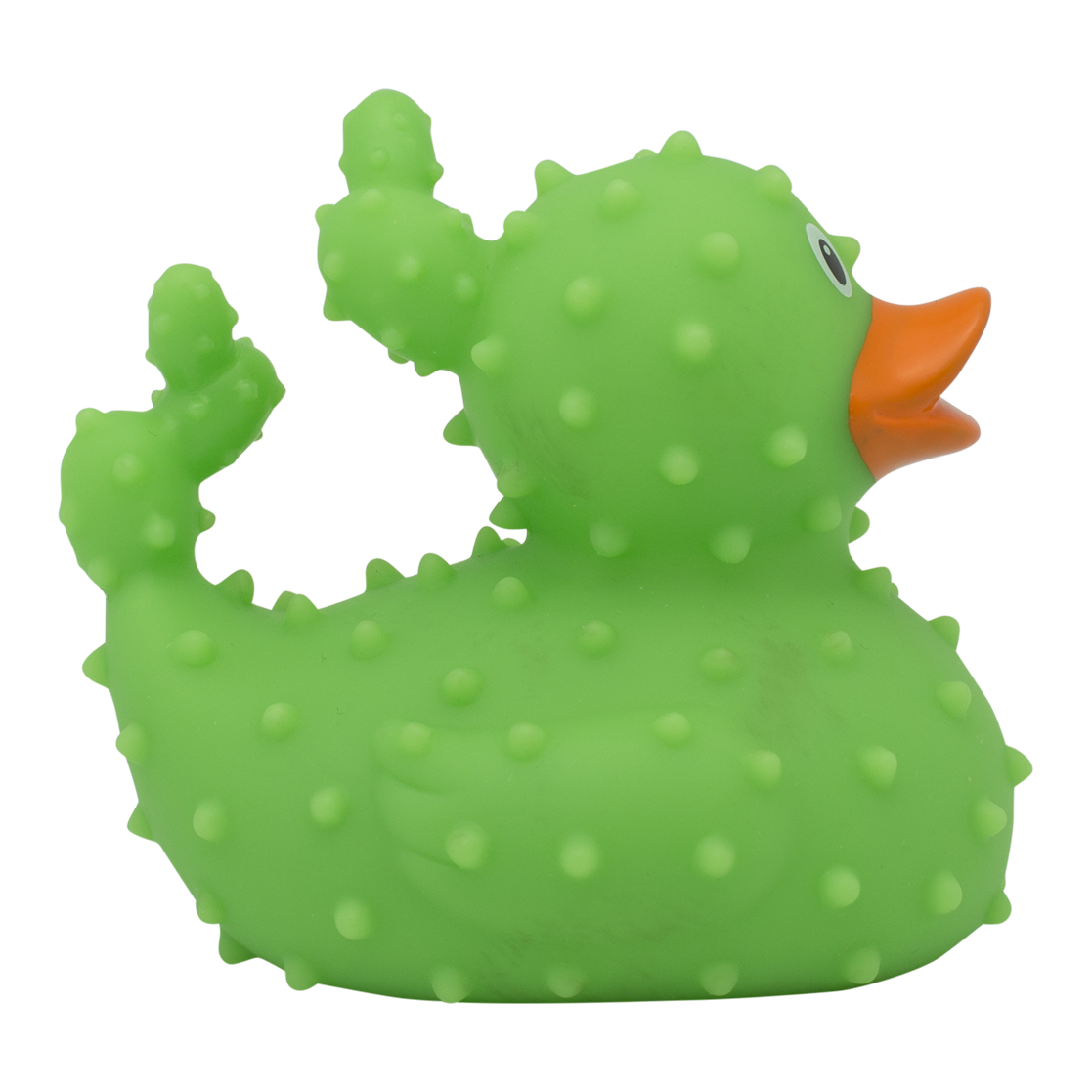 Canard Cactus