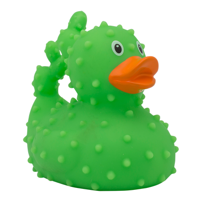 Duck cactus