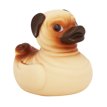 Pug Duck