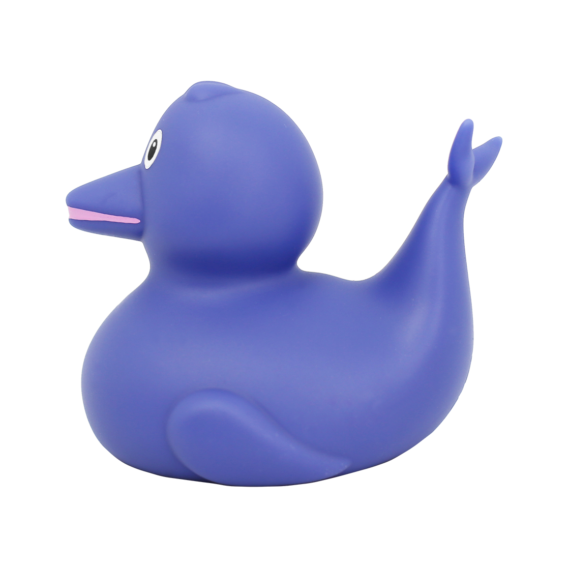 Dolphin Duck