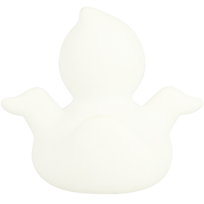 Ghost duck