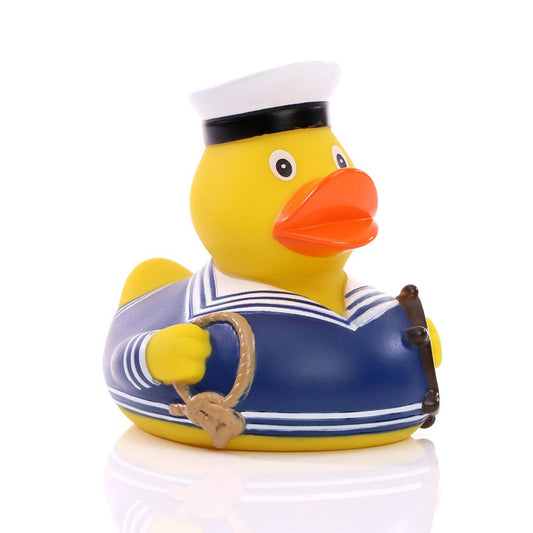 Blue sailor duck