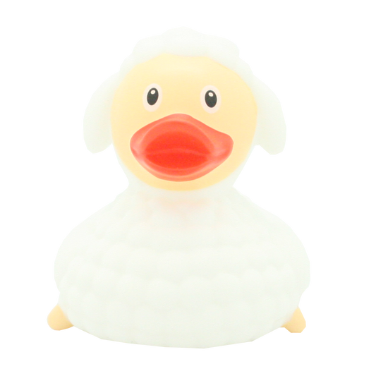 Sheep duck