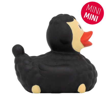 Mini Canard Mouton Noir