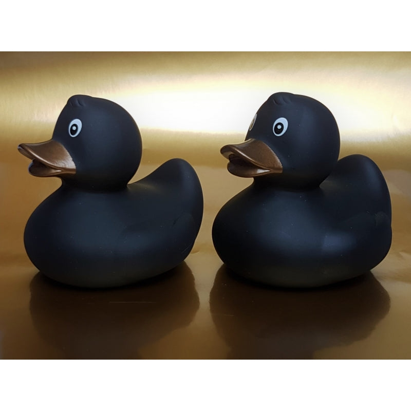 Original black duck