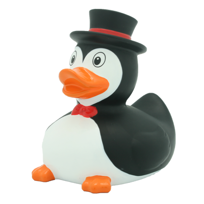 Penguin duck