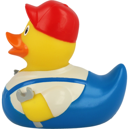 Canard Bricoleur