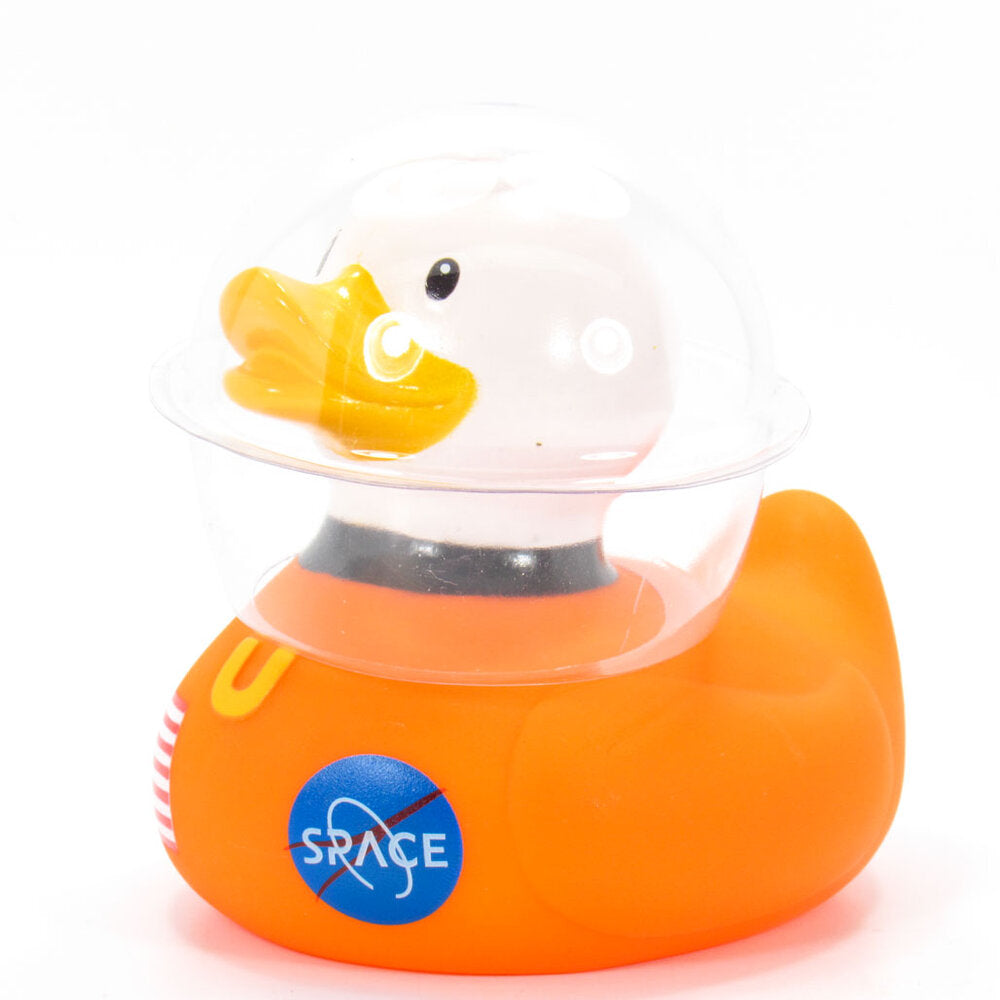 Space duck