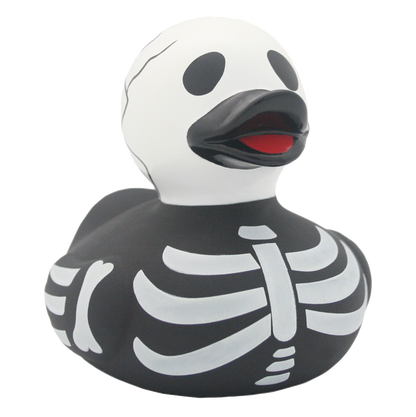 Duck skeleton