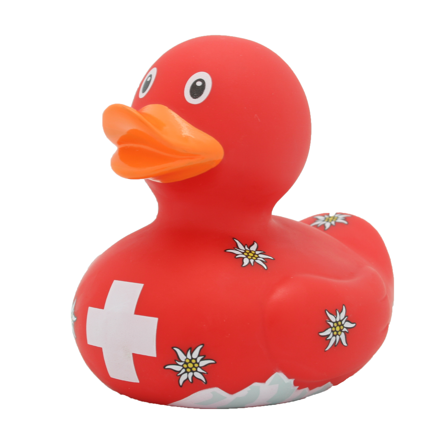 Swiss duck