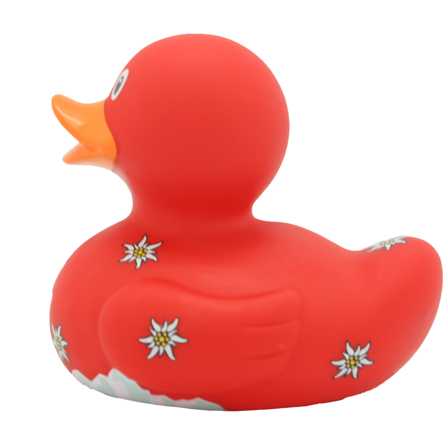 Swiss duck