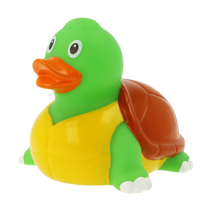 Canard Tortue